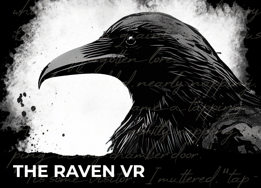 The Raven VR portfolio image